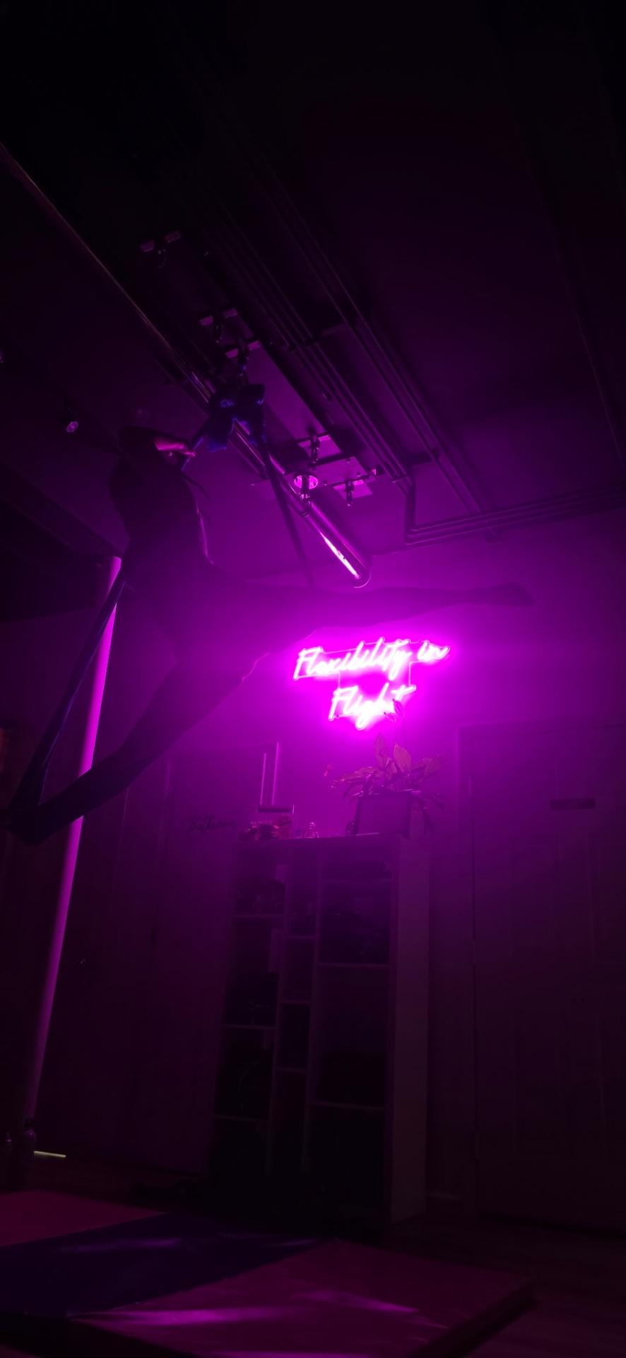 Flexibility in Flight neon studio sign glowing at the Chester, NY location
