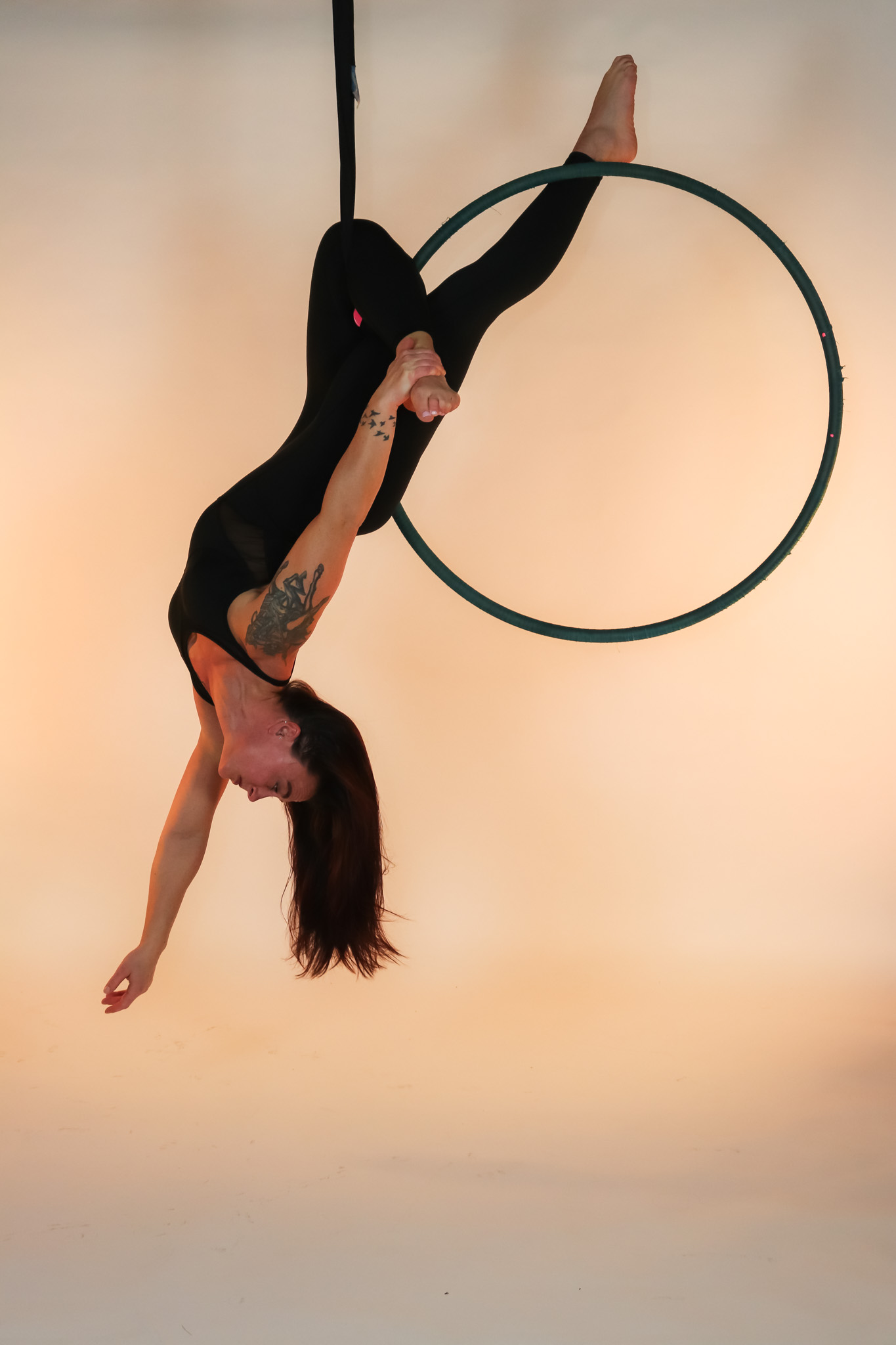 Lyra Hoop at Flexibility in Flight